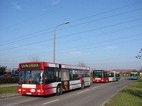MAN NL202 #564