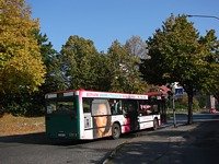 MAN NL202 #570