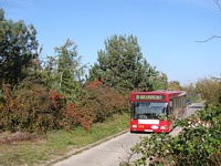 MAN NL202 #578