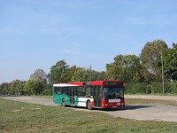 MAN NL202 #579