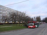 MAN NL202 #584