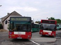 MAN NL202 #587