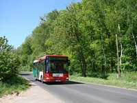 Zdj�cie miesi�ca