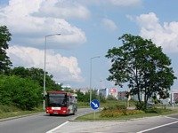 Zdj�cie miesi�ca