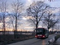 Zdj�cie miesi�ca