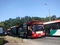 MAN NL202 #591