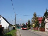 Zdj�cie miesi�ca