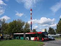 Zdj�cie miesi�ca