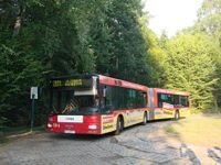 Zdj�cie miesi�ca