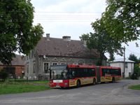 Zdj�cie miesi�ca