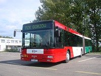 MAN NG313 #595