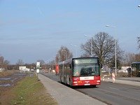 MAN NG313 #595