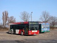 MAN NG313 #595
