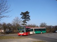 MAN NG313 #595