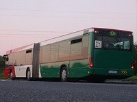 Zdj�cie miesi�ca