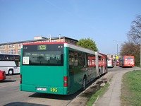 MAN NG313 #595