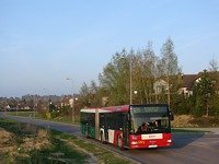 MAN NG313 #595