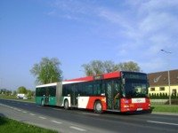 MAN NG313 #595