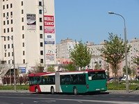 MAN NG313 #595