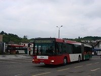 MAN NG313 #595