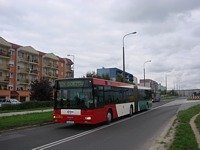 MAN NG313 #595