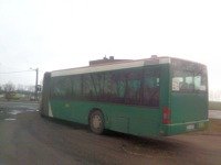 MAN NG313 #595