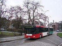 MAN NG313 #595