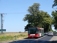 MAN NG313 #595