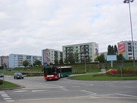 MAN NG313 #595