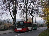 MAN NG313 #595