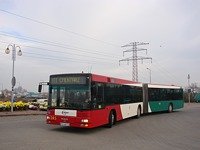 MAN NG313 #595