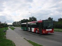 MAN NG313 #595