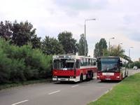 MAN NG313 #595