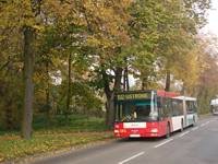 MAN NG313 #595