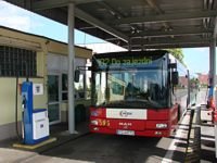 MAN NG313 #595