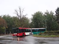 MAN NG313 #595