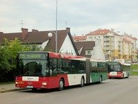 MAN NG313 #595