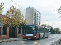 MAN NG313 #595