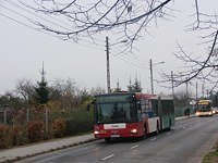 MAN NG313 #595