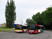 MAN NG313 #595