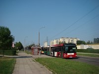 MAN NG313 #595