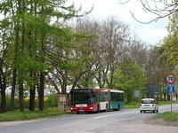 MAN NG313 #595