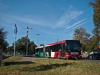 MAN NG313 #595