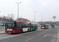 MAN NG313 #595