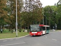 MAN NG313 #595