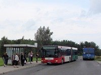 MAN NG313 #595