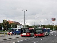 MAN NG313 #595