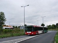 MAN NG313 #595