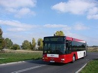 MAN NG313 #595