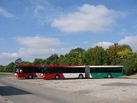 MAN NG313 #595